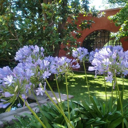 Finca Adalgisa Chacras de Coria Εξωτερικό φωτογραφία