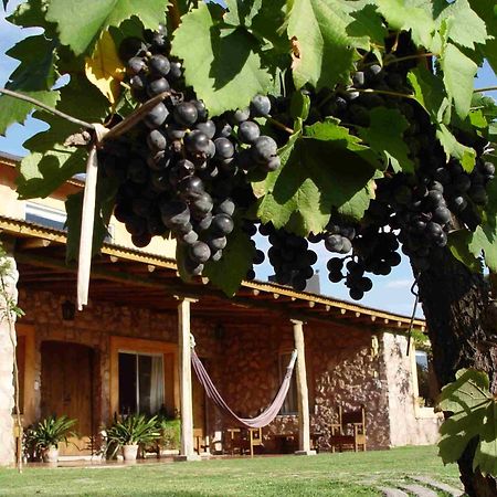 Finca Adalgisa Chacras de Coria Εξωτερικό φωτογραφία