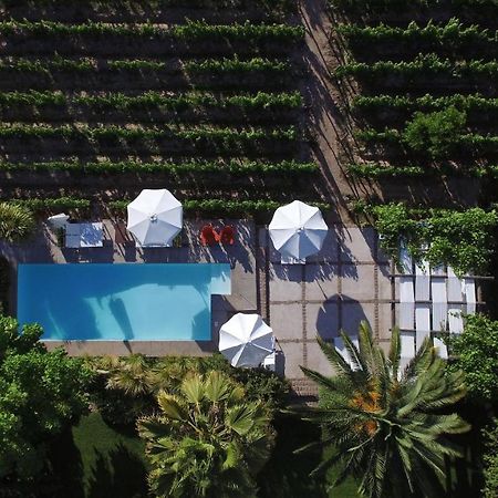 Finca Adalgisa Chacras de Coria Εξωτερικό φωτογραφία