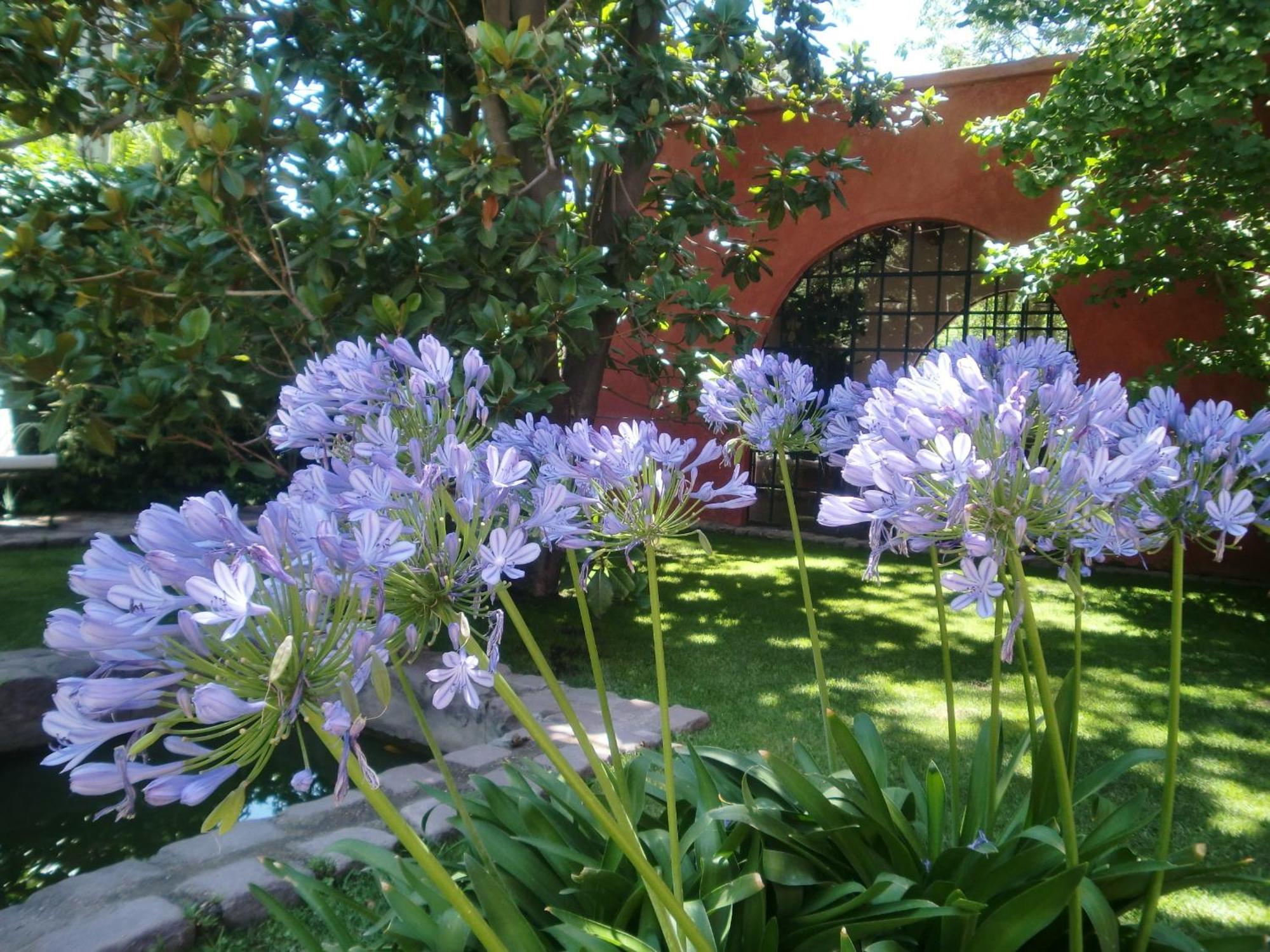 Finca Adalgisa Chacras de Coria Εξωτερικό φωτογραφία