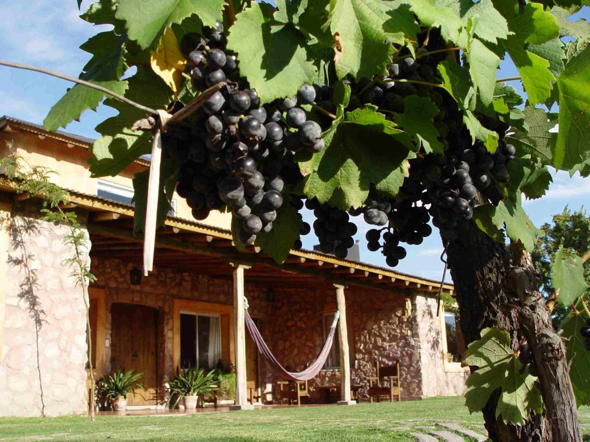 Finca Adalgisa Chacras de Coria Εξωτερικό φωτογραφία